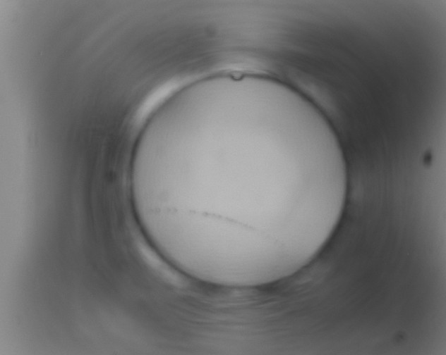 X0000113931471200910161839