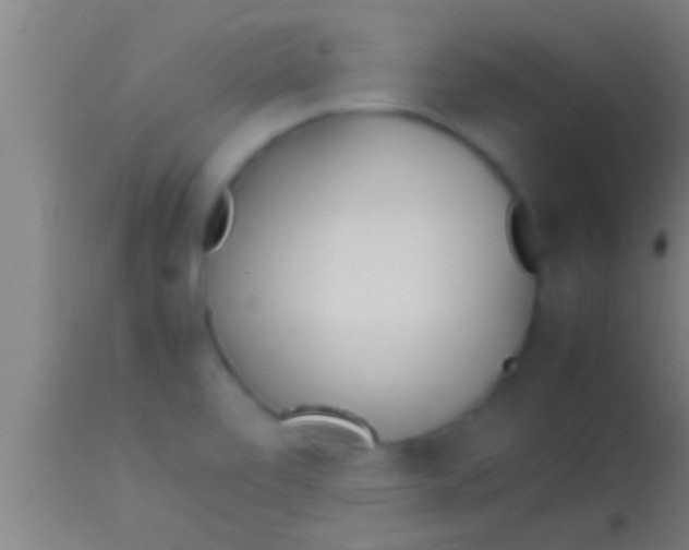 X0000113931472200910161839