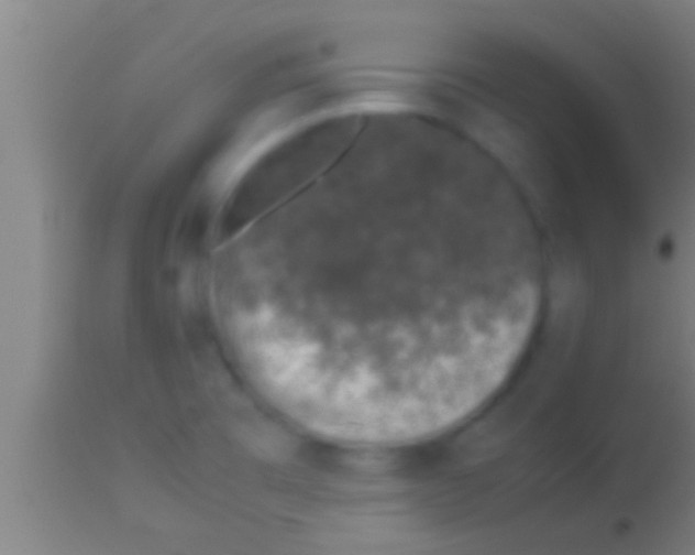 X0000113931473200910161839