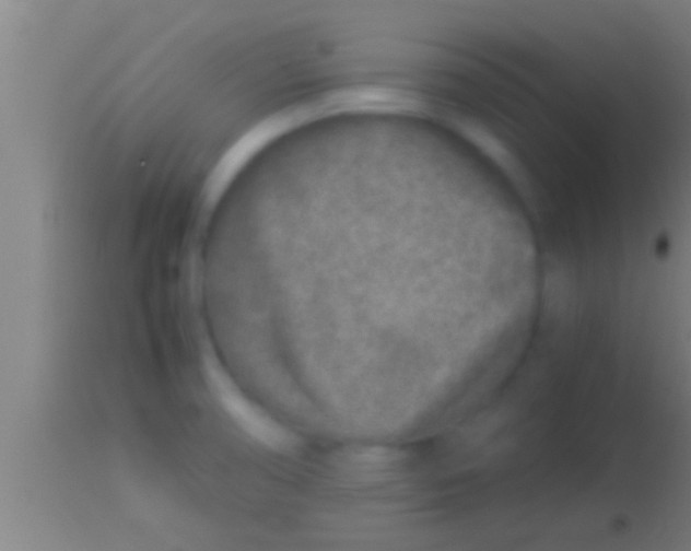 X0000113931474200910161839