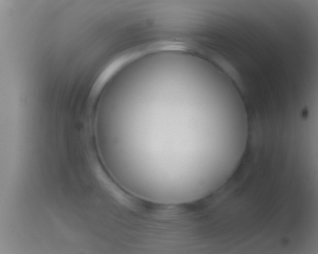 X0000113931475200910161839