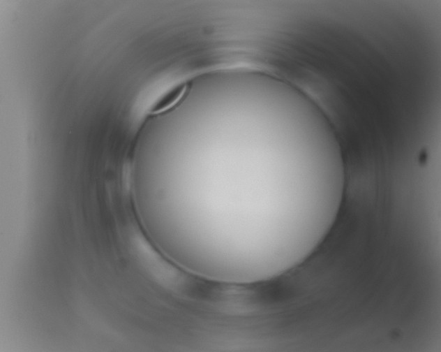 X0000113931476200910161839