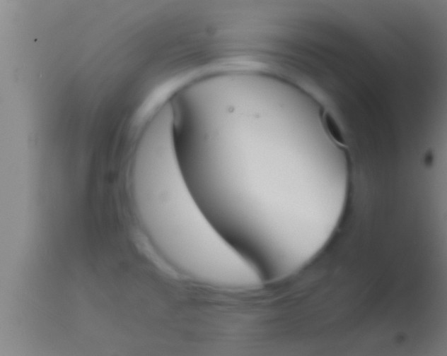 X0000113931477200910161839