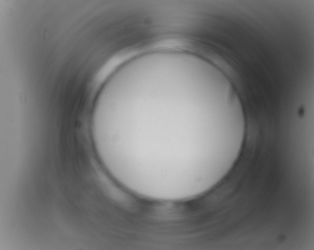 X0000113931478200910161839