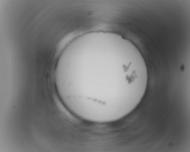 X0000113931479200910161839