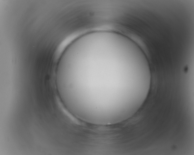 X0000113931480200910161838