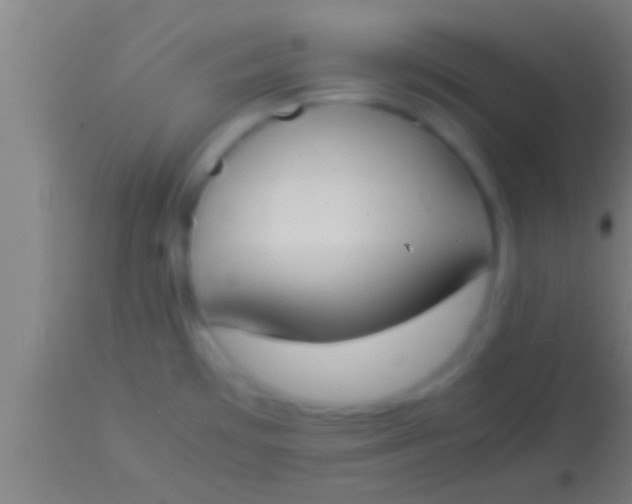 X0000113931481200910161838