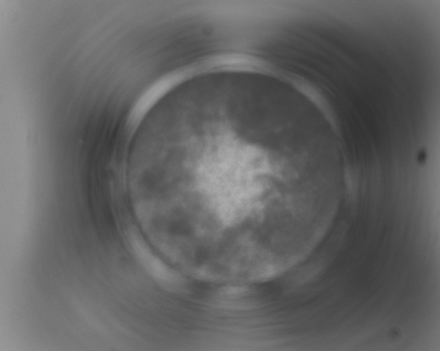 X0000113931482200910161838