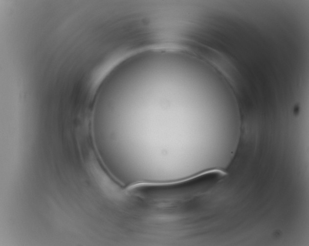 X0000113931484200910161838