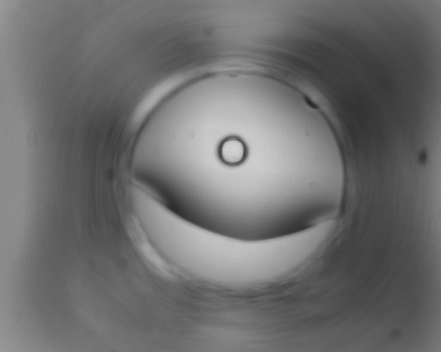 X0000113931485200910161838