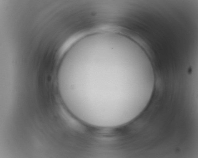 X0000113931486200910161838