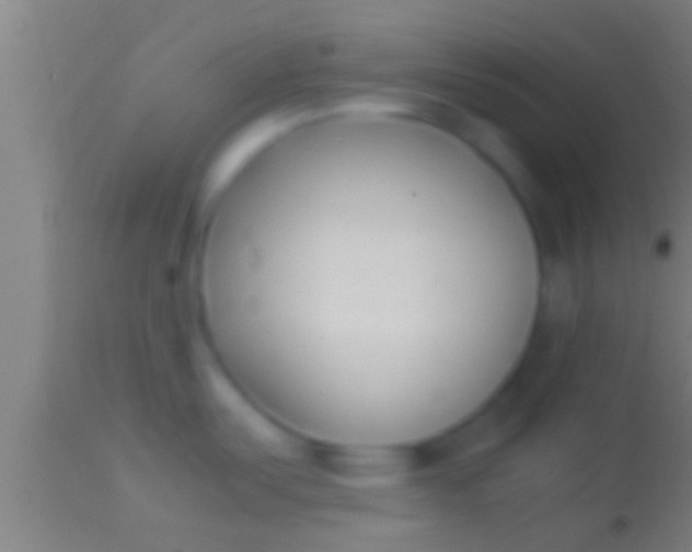 X0000113931487200910161838