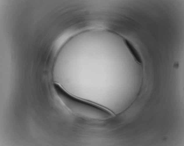 X0000113931488200910161838