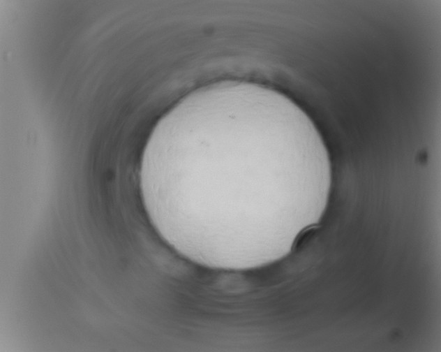 X0000113931489200910161838