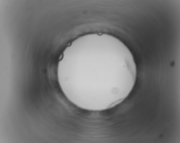 X0000113931490200910161838