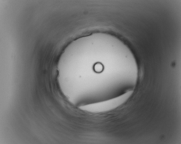 X0000113931492200910161838