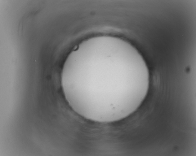 X0000113931493200910161838