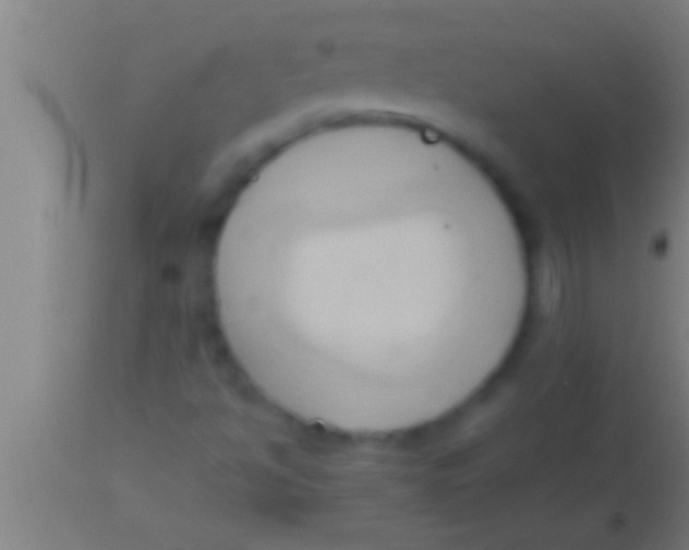 X0000113931494200910161838