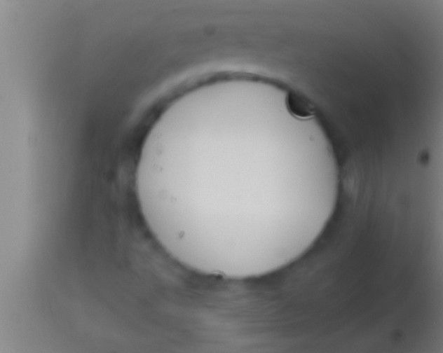 X0000113931495200910161838