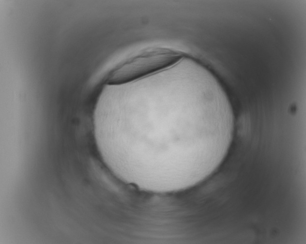 X0000113931496200910161838