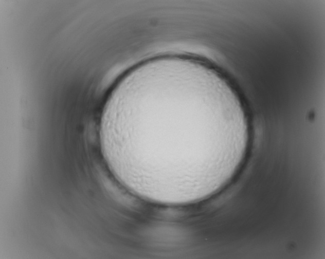 X0000113931497200910161838