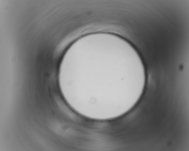 X0000113931498200910161838