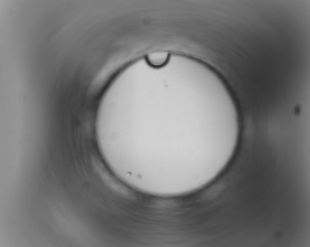 X0000113931499200910161838