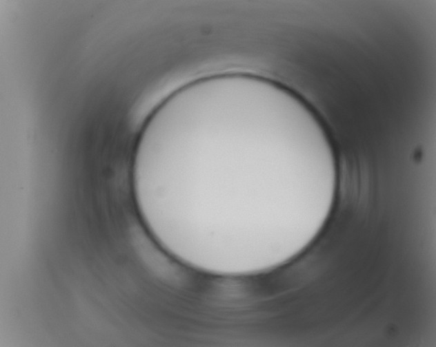 X0000113931500200910161838