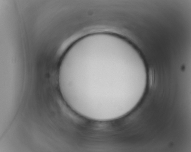 X0000113931501200910161838