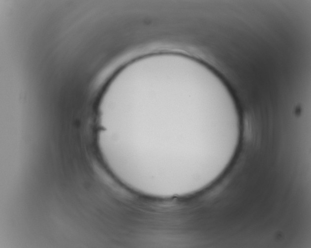 X0000113931502200910161838