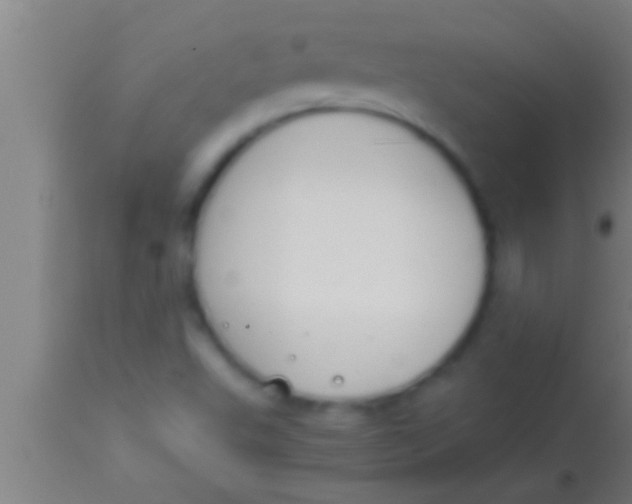 X0000113931503200910161838