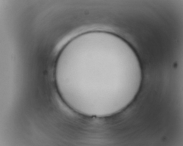 X0000113931504200910161838