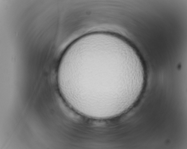 X0000113931505200910161838