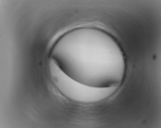 X0000113931506200910161838