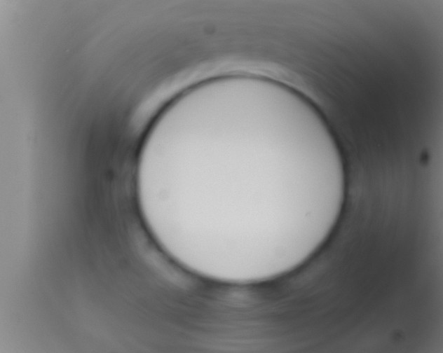 X0000113931507200910161838