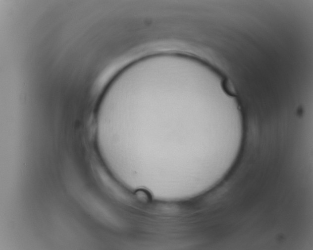 X0000113931509200910161838