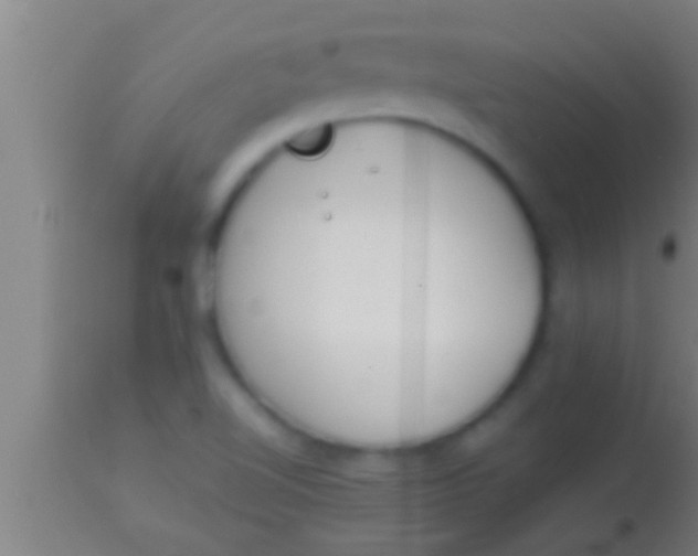 X0000113931510200910161838