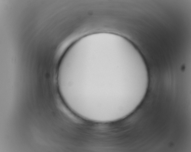 X0000113931511200910161838