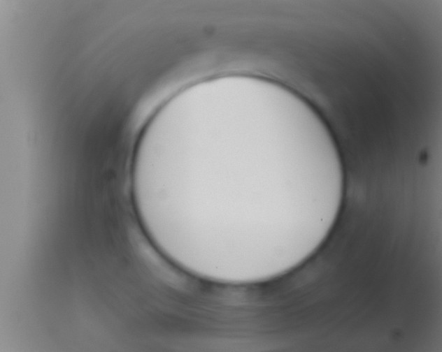 X0000113931512200910161838