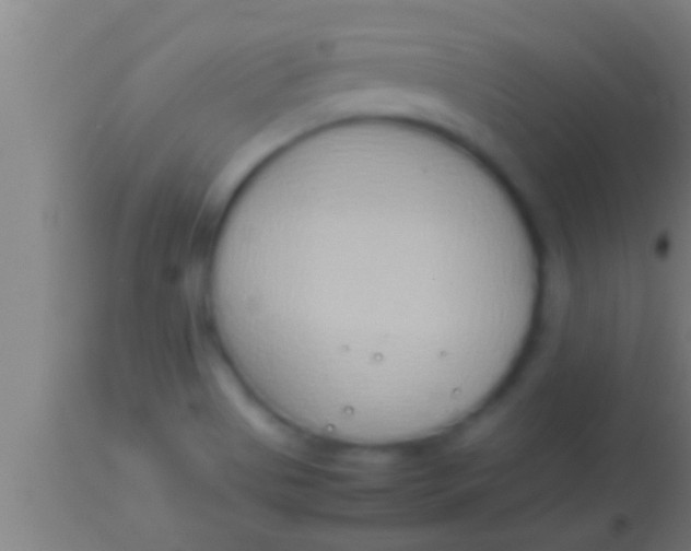 X0000113931513200910161838