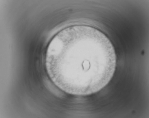 X0000113931514200910161838