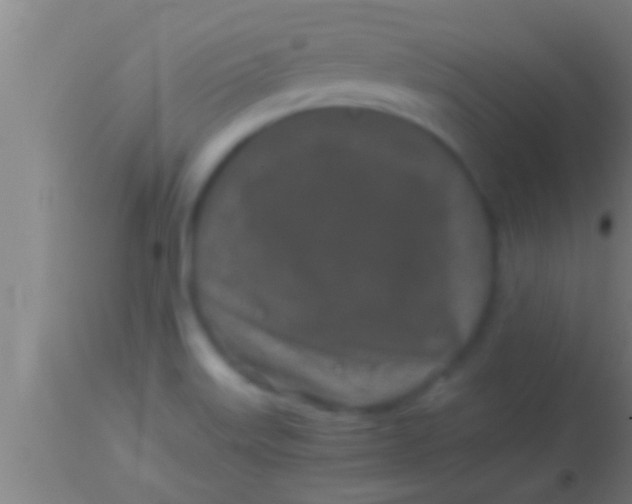 X0000113931515200910161838