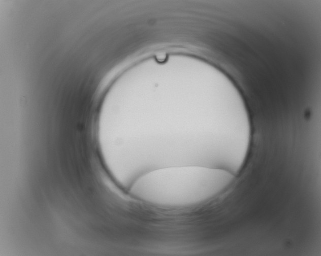 X0000113931516200910161838