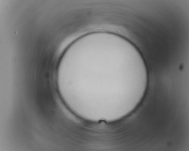 X0000113931517200910161838