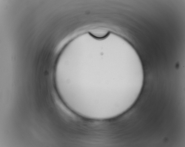 X0000113931518200910161838