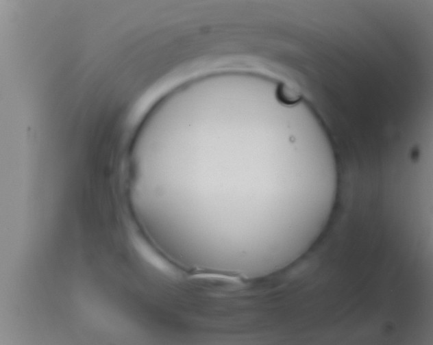 X0000113931519200910161838