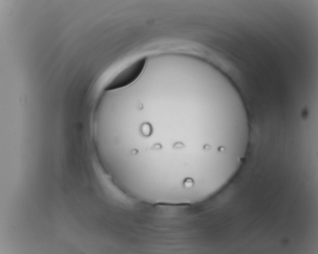 X0000113931520200910161838