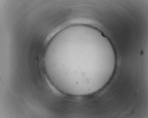 X0000113931521200910161838