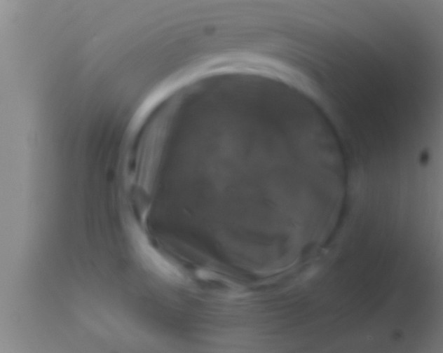 X0000113931522200910161838