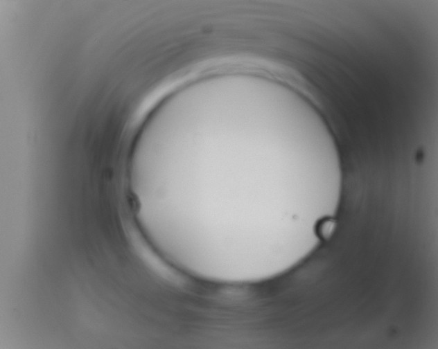 X0000113931523200910161838